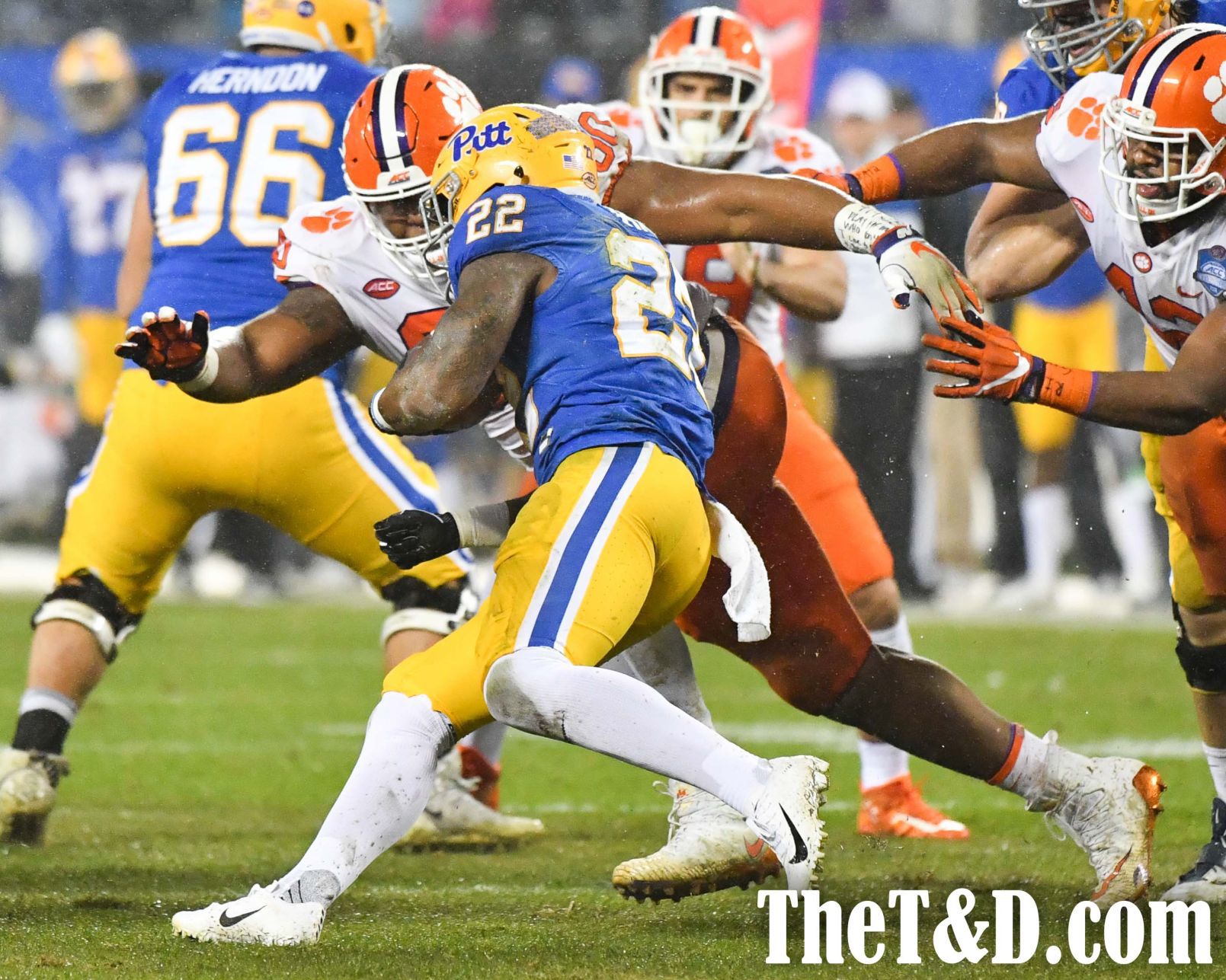 CLEMSON VS PITT 2018-23.jpg